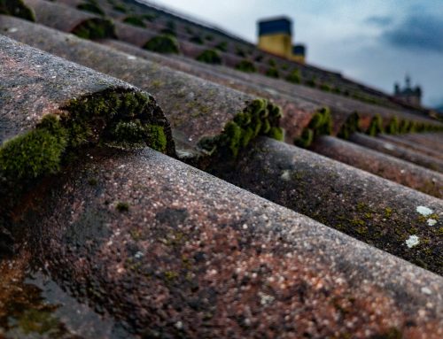 The Importance of Regular Roof and Gutter Maintenance